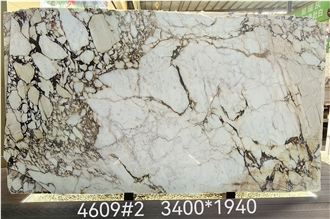 Polished Calacatta Viola Marble Wall Slabs