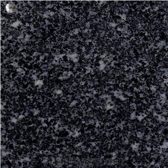 Vietnam Black Granite Slabs