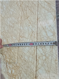 Spider Gold Marble  Wall Tiles