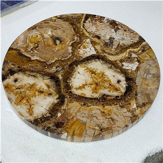 Largest Size Petrified Wood Gemstone Slabs