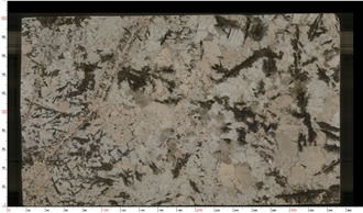 Popular Tourmaline Granite Slabs For Hotel Floor And Wall