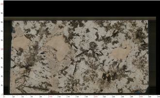 White Persa Granite Tiles For Bathroon Vanity Top