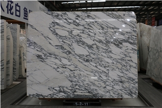 Exquisite Choice For Arabescato Marble Slabs