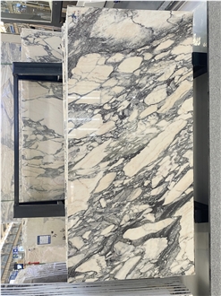 Italy Breccia Viola Marble Slabs For Design,Home Decoration