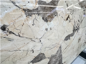 Luxury Brazil Pandora White Granite Slabs For Wall