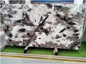 High Quality Alpinus Granite Slabs