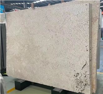 China Beige Coral Stone Slab Wall Tiles