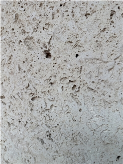 China Beige Coral Stone Slab Wall Tiles