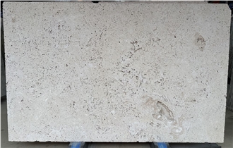 Coralina Beige Coral Stone Slabs Tile