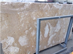 Coralina Gold Coral Stone Slabs