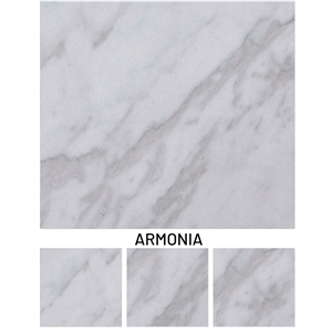 Armoni Marble Aydın Karacasu Marble