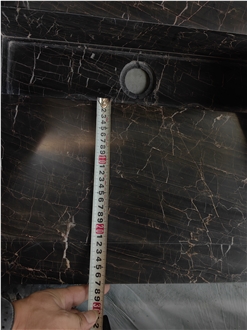 GOLDTOP Brown European Network Marble Vanity Tops