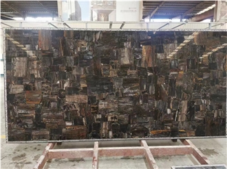 Petrified Wood Black Semiprecious Stone Panels