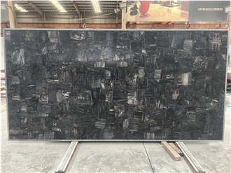 Petrified Wood Black Semiprecious Stone Panels