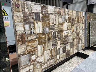 Petrified Wood Semiprecious Stone Slabs