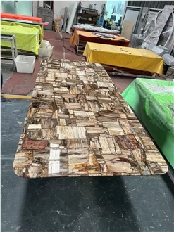 Petrified Wood Semiprecious Stone Slabs