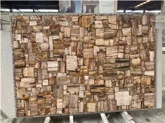 Petrified Wood Semiprecious Stone Slabs