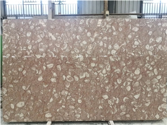 Shell Reef Pink Marble Slabs