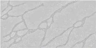 AQ3582 Grey Calacatta Latino Quartz Slabs