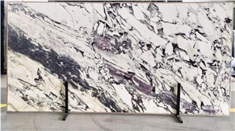 House Wall Floor Tiles Decor Breccia Capraia Marble Slab