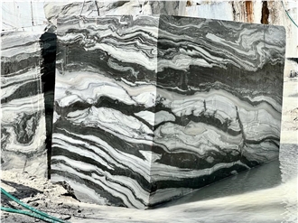 Phantom White Black Vein Marble Blocks