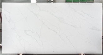 CALCATTA STATURIO  Quartz Slabs