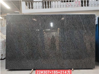 Ancient Dragon / Cologne Grey Marble Slabs