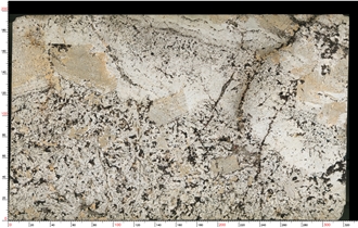 Absolute Cream Granite Slab