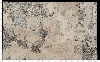 Absolute Cream Granite Slab