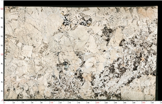 Absolute Cream Granite Slab