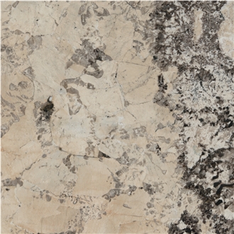 Absolute Cream Granite Tile