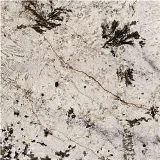 Alpine Granite Tile