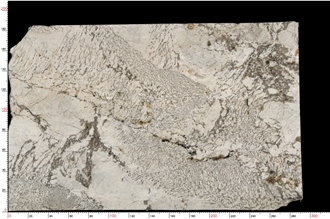 Alpine Granite Slab