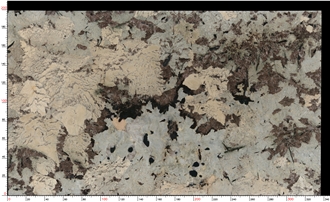 Crazy Horse Granite Slab