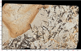 Juparana Delicatus Granite Slab