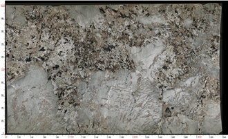 Patagonia Blue Granite Slab