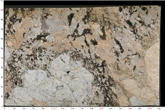 Patagonia Granite Slab