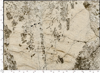 Patagonia Granite Slab