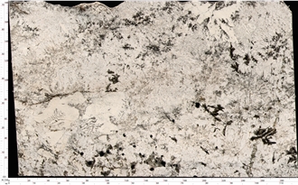 White Spring Granite Slab