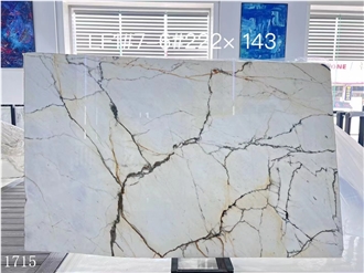 Italy Paonazzo Marble Slabs Bianco Marmo Vena Fine Stone