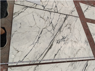 GOLDTOP OEM/ODM Calacatta Paonazzo Marble Tiles