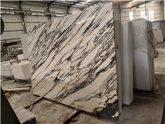 Polished Italy Arabescato Marble Slab Floor Tiles