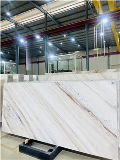 Polished Book Match Palisandro White Slab Marble Wall Tiles