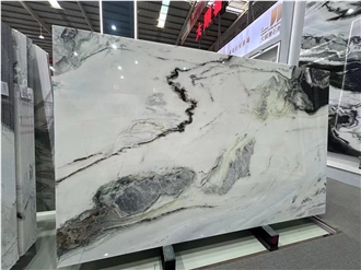 Polished Dalmata Marble Slabs