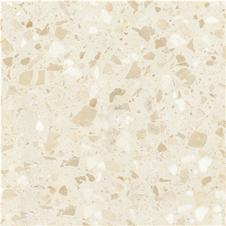 Aggregate Terrazzo Floor Tiles