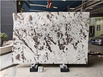 Exotic Alpinus Granite Slabs