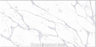 CALACATTA NEWBOROUGH Quartz Slabs