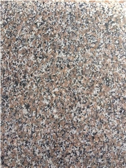 G361 Wulian Flower Granite Tiles