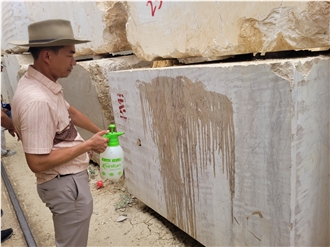 Beige Travertine Raw Blocks