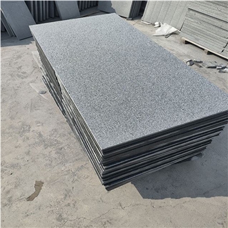 Low Price Shandong G654 New Dark Grey Granite Tiles